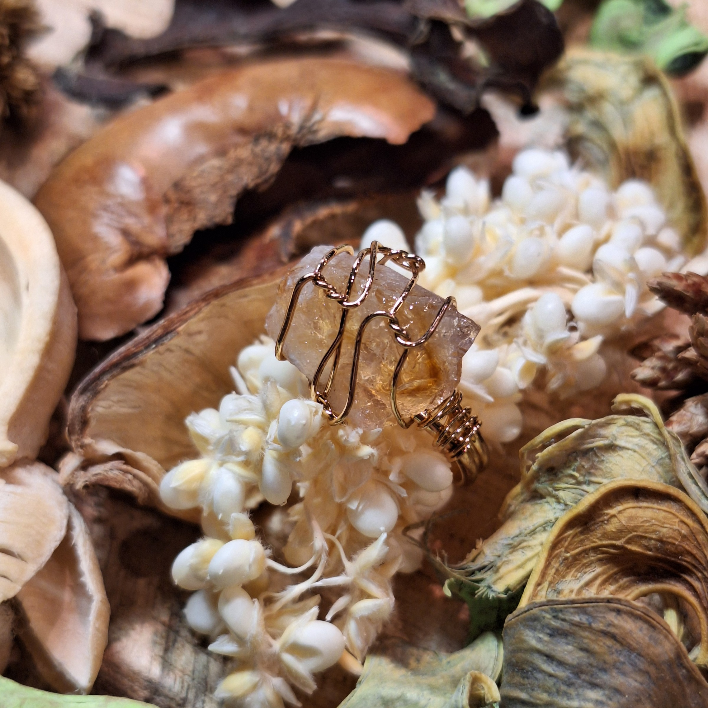 Collection Aphrodite