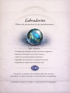 Boucles d'oreilles en Labradorite - Protection Équilibre Régénération